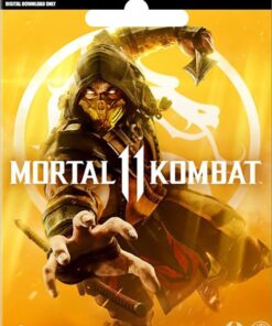 MORTAL KOMBAT 11 STEAM KEY GLOBAL