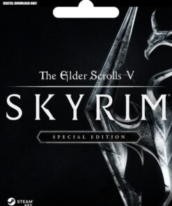 THE ELDER SCROLLS V SKYRIM SPECIAL EDITION PC
