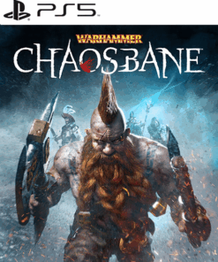 WARHAMMER CHAOSBANE SLAYER EDITION PS5