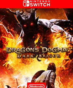 DRAGONS DOGMA: DARK ARISEN - NINTENDO SWITCH