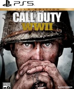 CALL OF DUTY WWII GOLD EDITION INGLES PS5