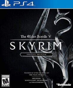 THE ELDER SCROLLS V SKYRIM SPECIAL PS4