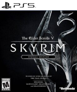 THE ELDER SCROLLS V SKYRIM SPECIAL PS5