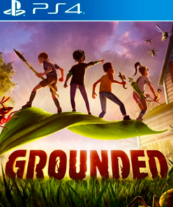 Grounded PS4