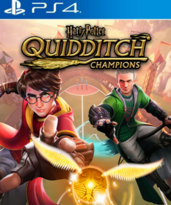 Harry Potter Quidditch Champions PS4