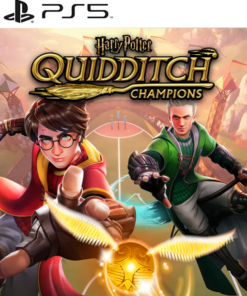 Harry Potter Quidditch Champions PS5